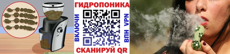 Canna-Cookies марихуана  Дятьково 